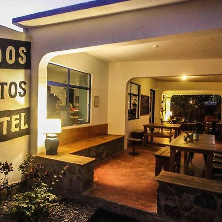 Todos Santos Hostel Super Fast And Stable Satellite Wifi المظهر الخارجي الصورة